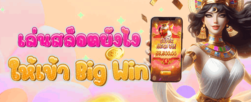 คืนยอดเสียรายวัน VIP Cashback